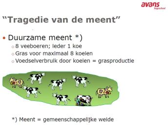 tragedie-van-de-meent